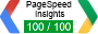 Google PageSpeed Insights 100 percent % 100/100